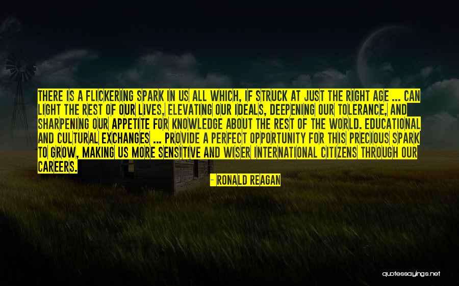 Elevating Others Quotes By Ronald Reagan Elevating Others Quotes By Ronald Reagan