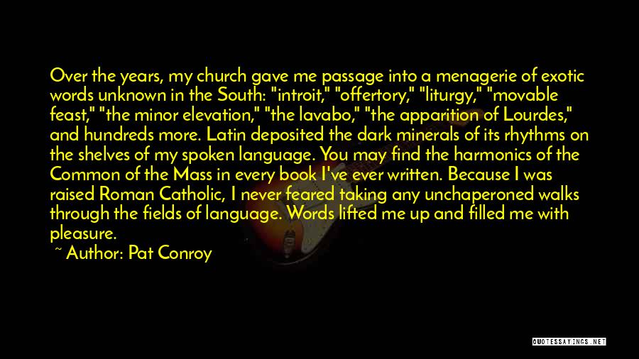 Elevation Church Quotes By Pat Conroy