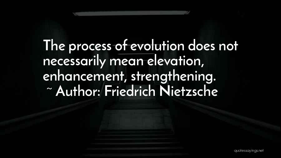 Elevation Quotes By Friedrich Nietzsche