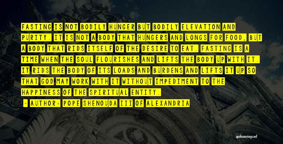 Elevation Quotes By Pope Shenouda III Of Alexandria