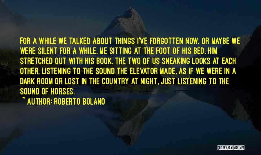 Elevator Quotes By Roberto Bolano