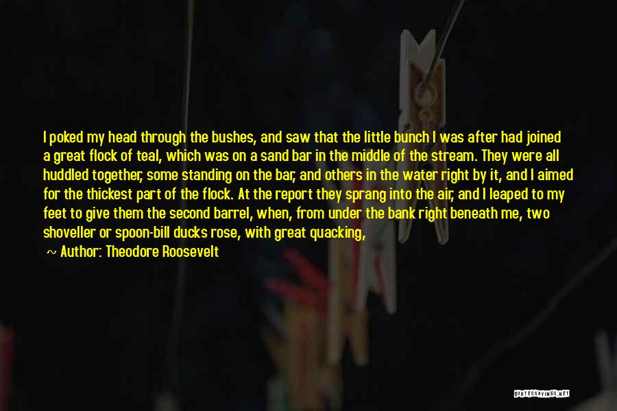 Eleven In Quotes By Theodore Roosevelt Eleven In Quotes By Theodore Roosevelt