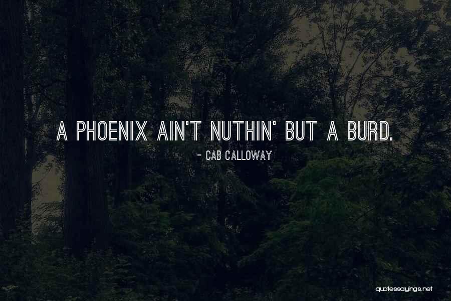 Elevenia Career Quotes By Cab Calloway Elevenia Career Quotes By Cab Calloway