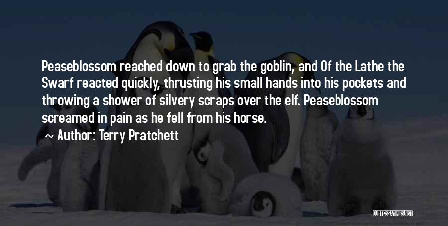 Elf Quotes By Terry Pratchett