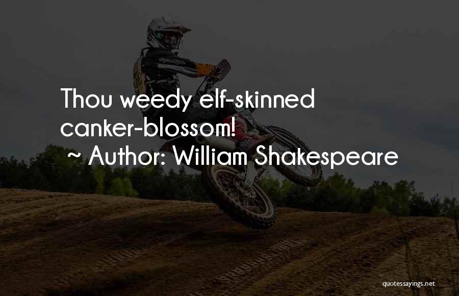 Elf Quotes By William Shakespeare