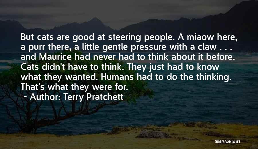 Elfa Quotes By Terry Pratchett