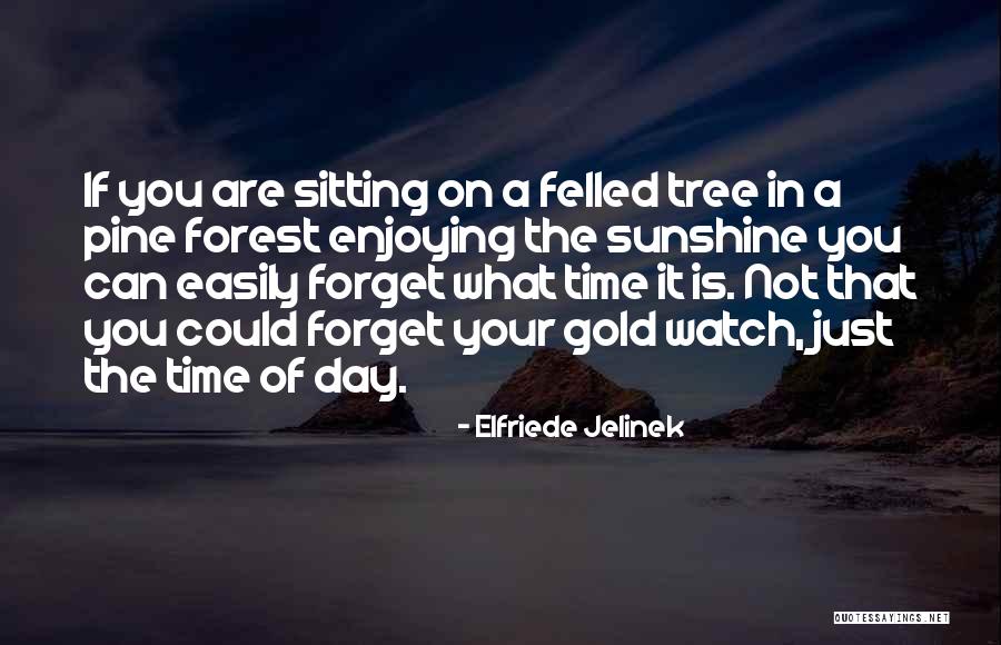 Elfriede Jelinek Quotes 1961178