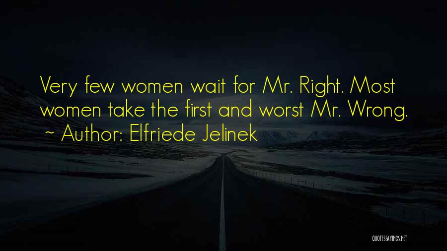 Elfriede Jelinek Quotes 810021