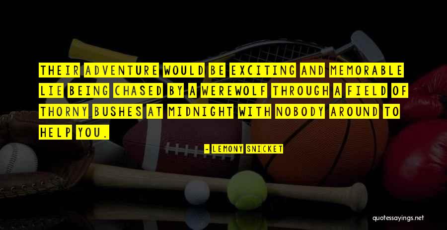 Elfwynn Quotes By Lemony Snicket Elfwynn Quotes By Lemony Snicket
