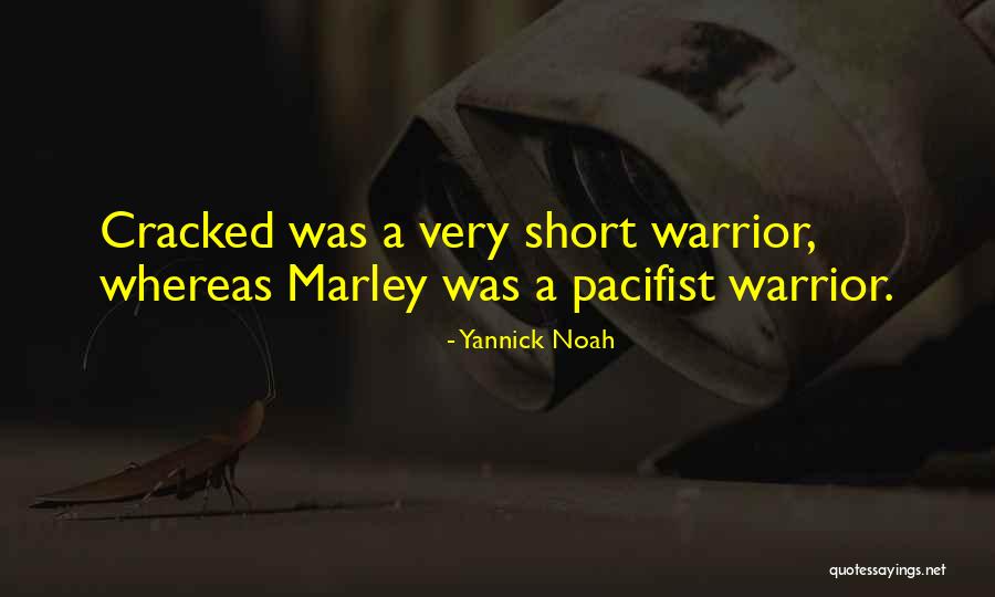 Elgindy Suicide Quotes By Yannick Noah Elgindy Suicide Quotes By Yannick Noah
