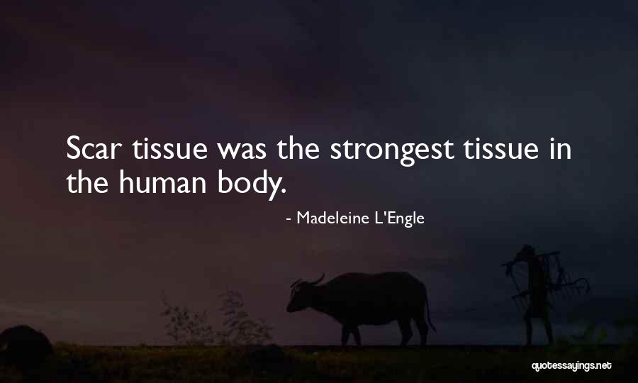 Elhadi Babiker Quotes By Madeleine L'Engle