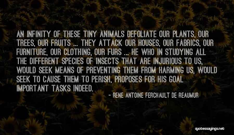 Elhanan Cnas Quotes By Rene Antoine Ferchault De Reaumur Elhanan Cnas Quotes By Rene Antoine Ferchault De Reaumur
