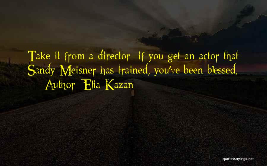 Elia Kazan Quotes 383505