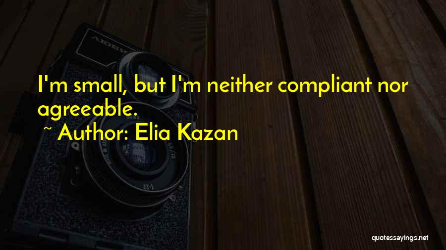 Elia Kazan Quotes 546807