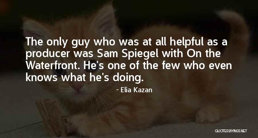 Elia Kazan Quotes 77680