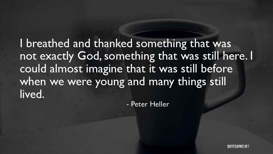Elicited Define Quotes By Peter Heller Elicited Define Quotes By Peter Heller