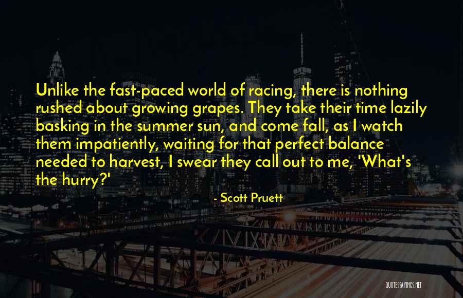 Elidia Rico Quotes By Scott Pruett Elidia Rico Quotes By Scott Pruett