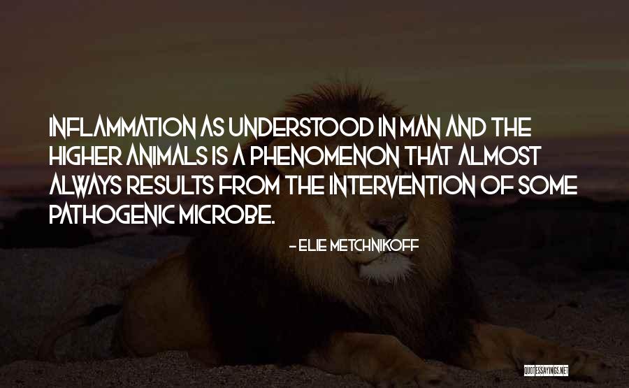 Elie Metchnikoff Quotes 413274