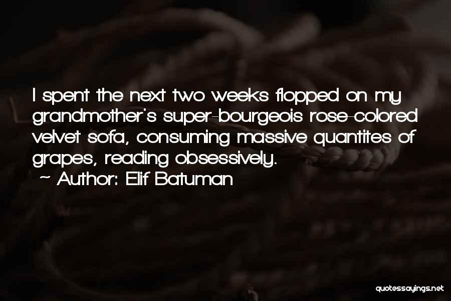 Elif Batuman Quotes 364011