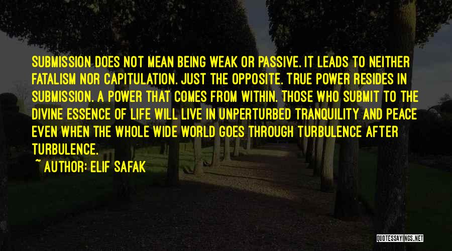 Elif Safak Quotes 2133341