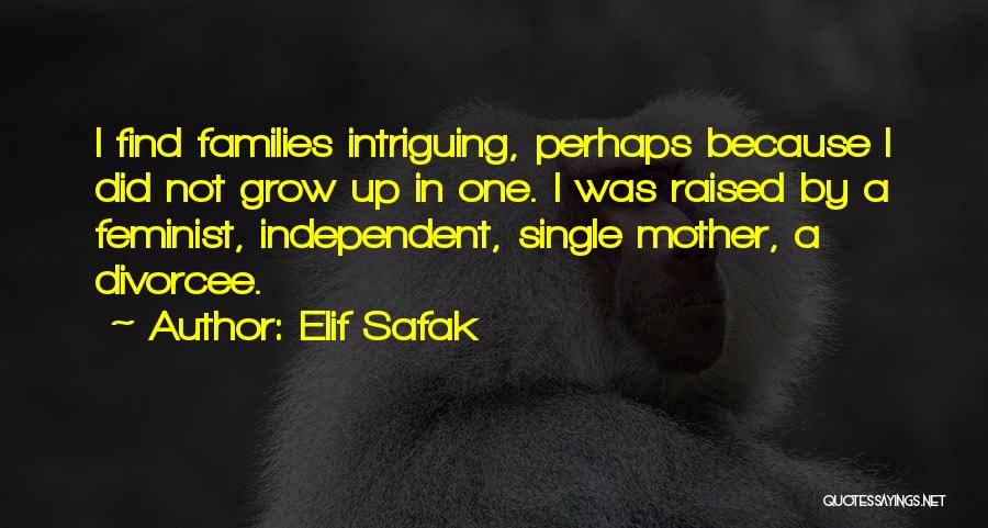 Elif Safak Quotes 290905