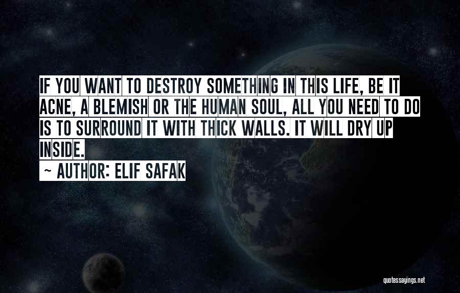 Elif Safak Quotes 976022
