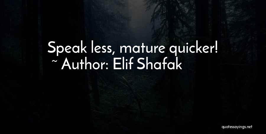 Elif Shafak Quotes 1121159