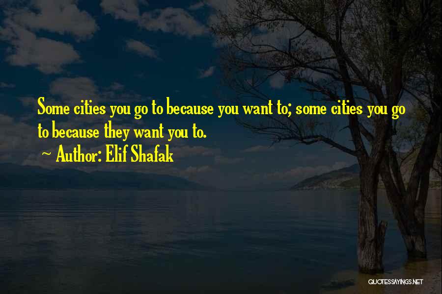 Elif Shafak Quotes 1163412