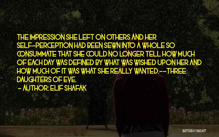 Elif Shafak Quotes 1245142