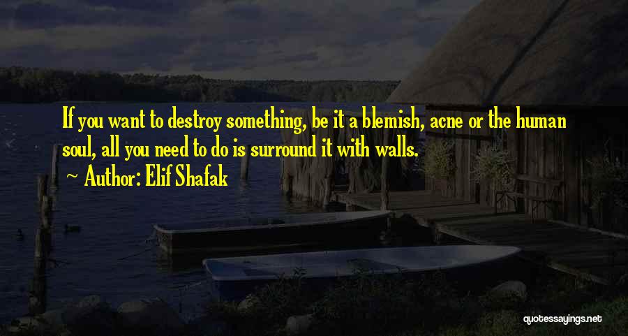 Elif Shafak Quotes 125046