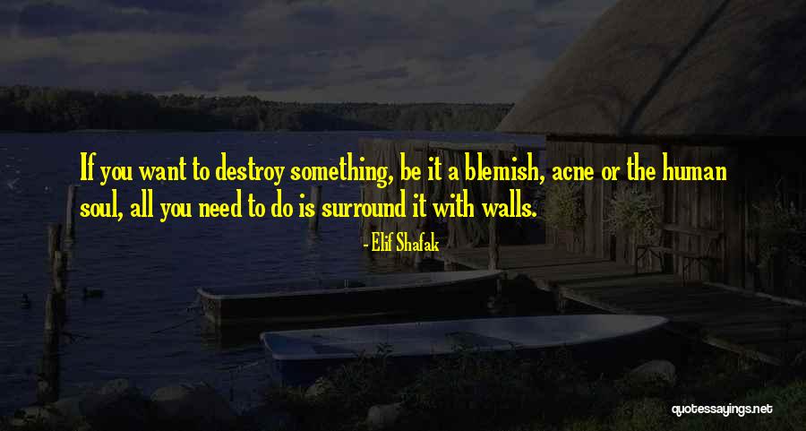 Elif Shafak Quotes 125046 Elif Shafak Quotes 125046