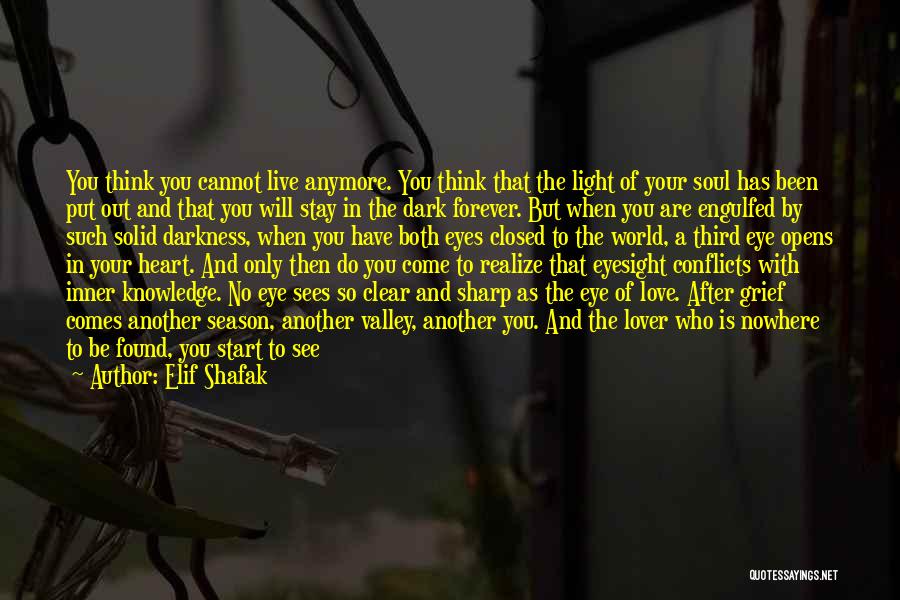 Elif Shafak Quotes 1293568
