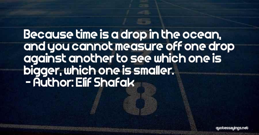 Elif Shafak Quotes 1316819