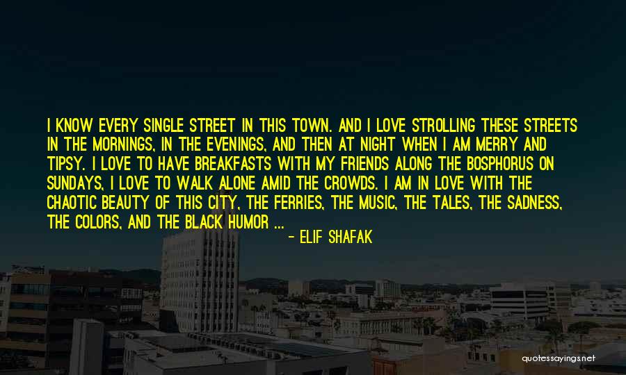 Elif Shafak Quotes 1621376 Elif Shafak Quotes 1621376