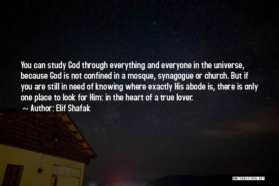 Elif Shafak Quotes 1718695