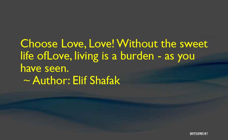 Elif Shafak Quotes 2001692