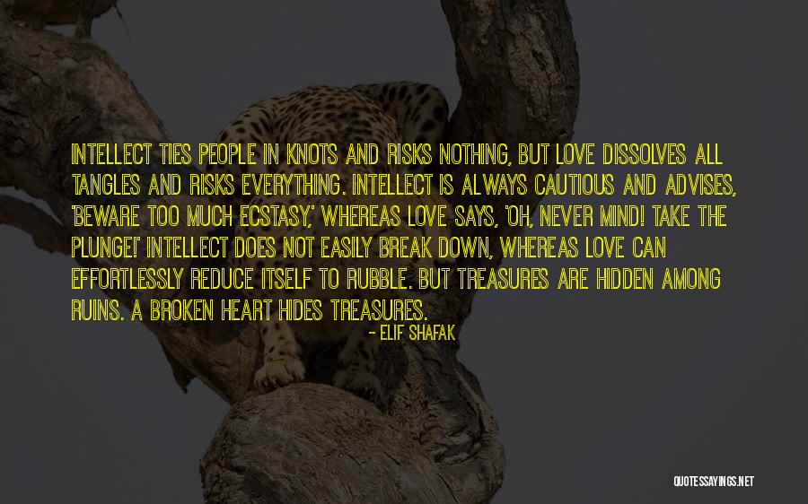 Elif Shafak Quotes 2176326 Elif Shafak Quotes 2176326