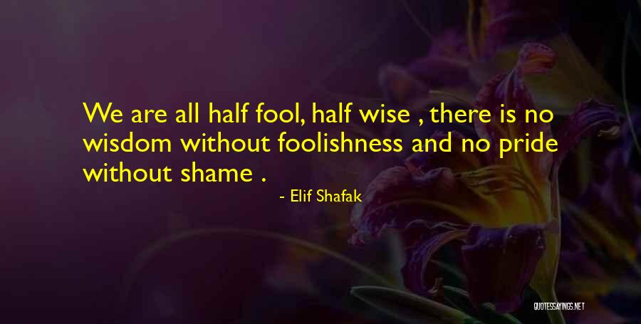 Elif Shafak Quotes 272562