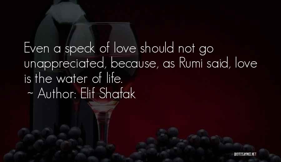 Elif Shafak Quotes 442991