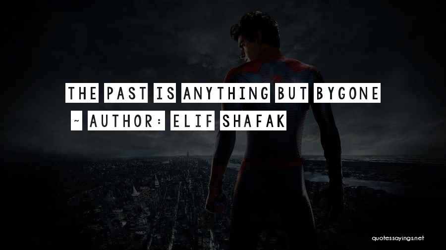 Elif Shafak Quotes 747779