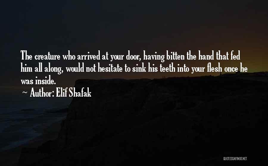 Elif Shafak Quotes 983437