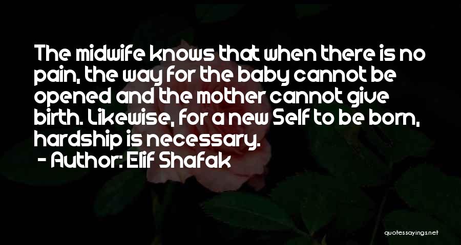 Elif Shafak Quotes 984655