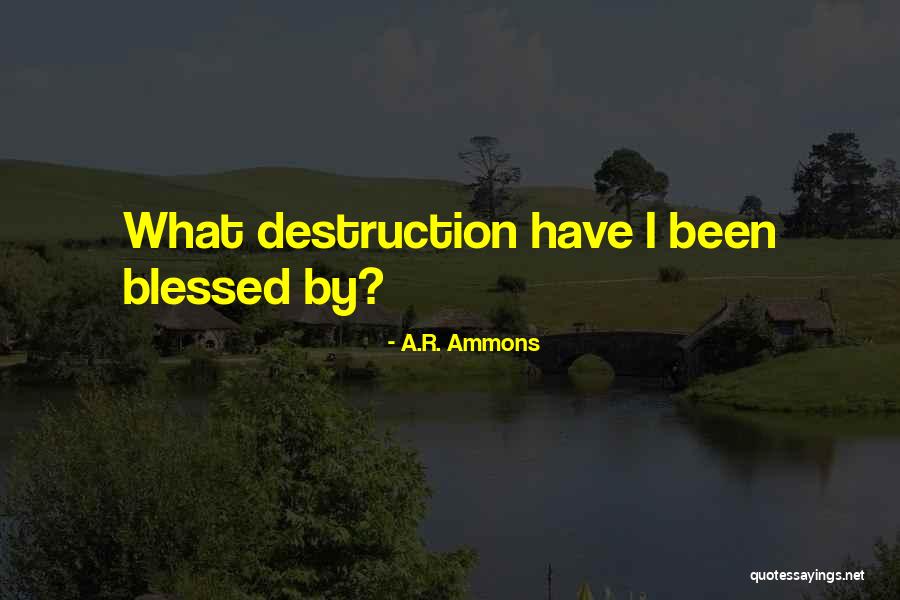 Elijah Hunt Rhodes Quotes By A.R. Ammons
