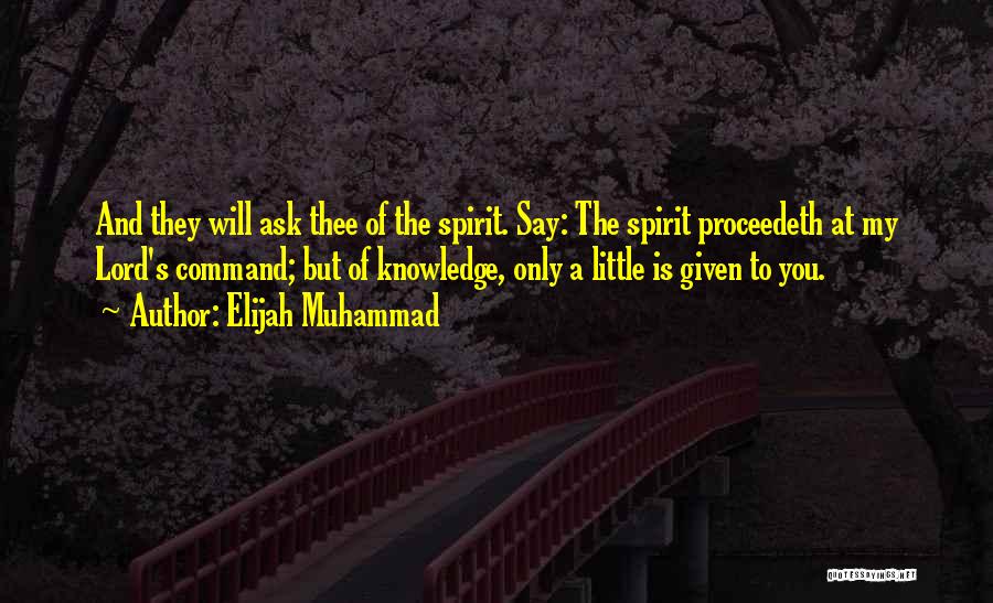 Elijah Muhammad Quotes 459339