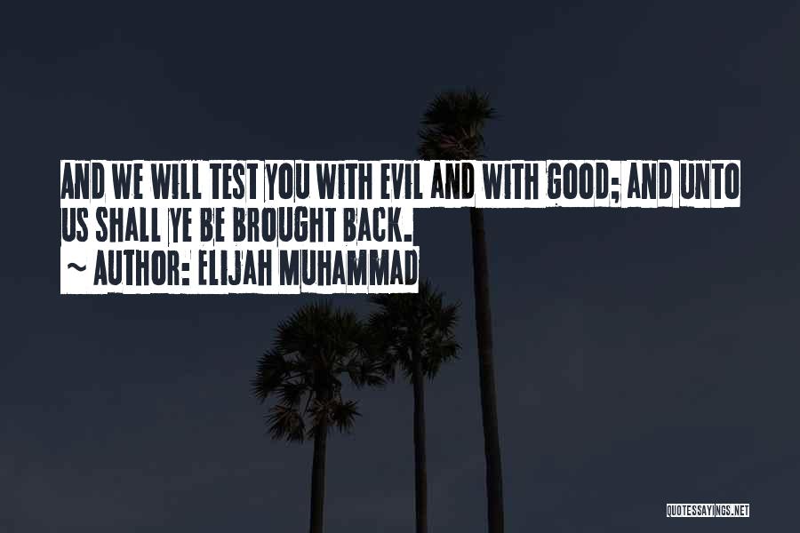 Elijah Muhammad Quotes 852340