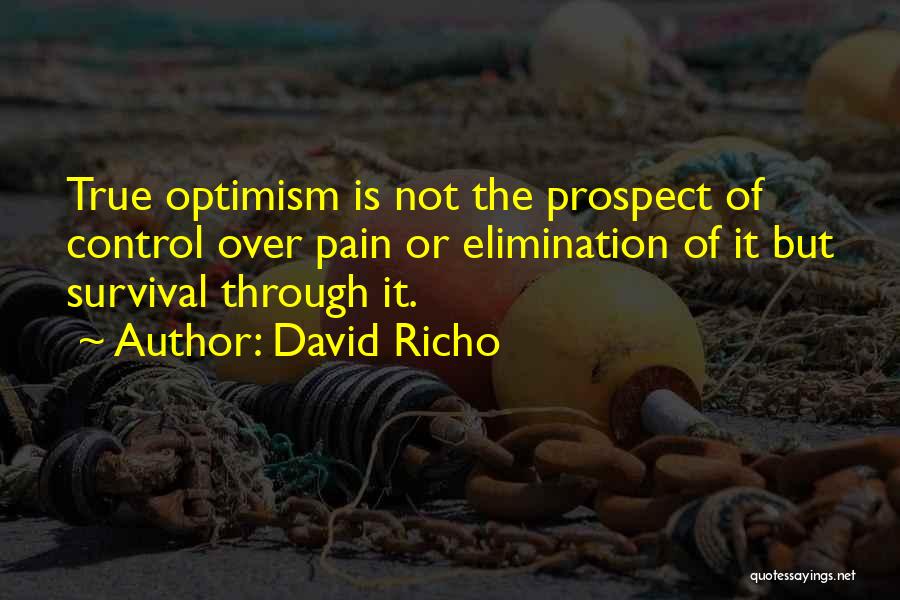 Elimination Quotes By David Richo
