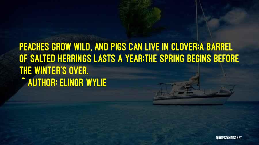 Elinor Wylie Quotes 1764697