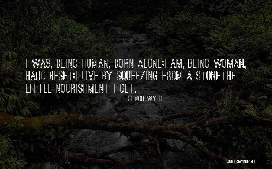 Elinor Wylie Quotes 1998050