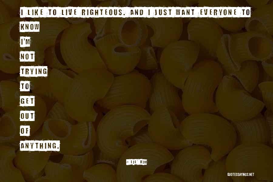 Elinors Endeavor Quotes By Lil' Kim Elinors Endeavor Quotes By Lil' Kim