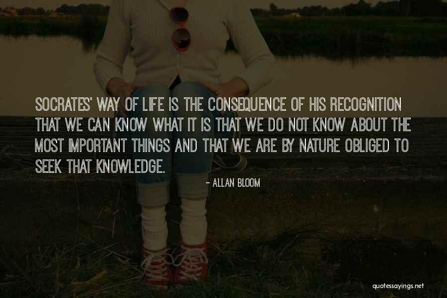 Elio Pain Quotes By Allan Bloom Elio Pain Quotes By Allan Bloom